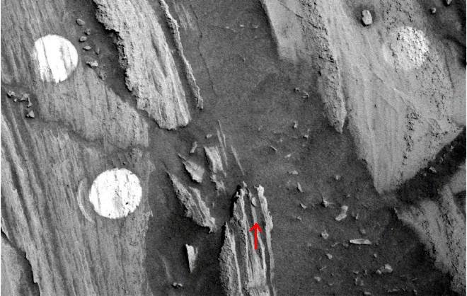 Последние новости НАСА. На снимке Марса нашли монету!