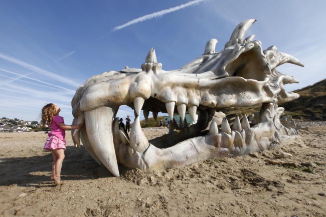 Большой череп дракона выбросило на берег в Великобритании