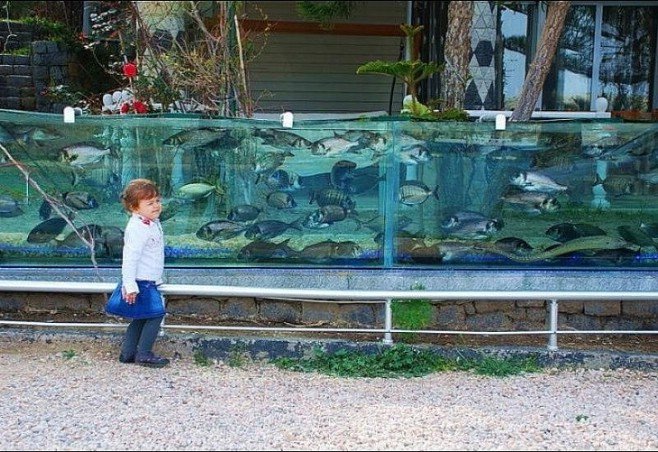 Самый красивый и большой аквариум в Турции (фото + видео)